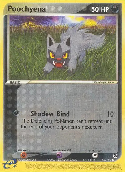 Image of the card Poochyena