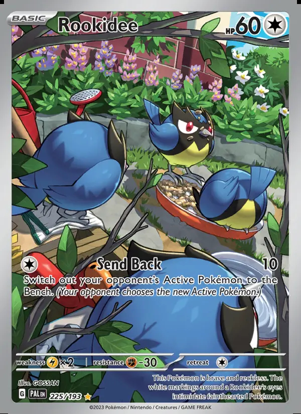 Image of the card Rookidee